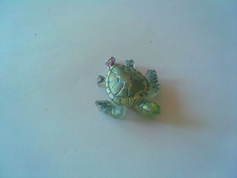 Tortue